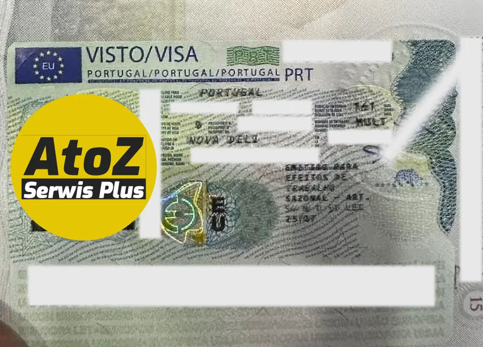 Portugal Job Seeker Visa Success
