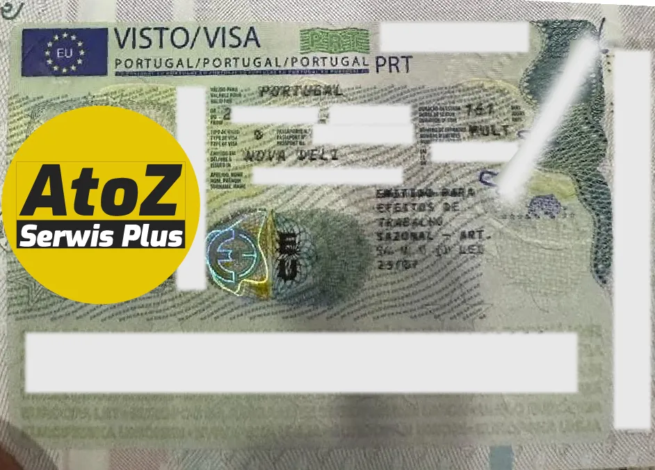 Portugal Job Seeker Visa Success