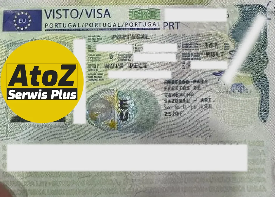 Portugal Job Seeker Visa Success