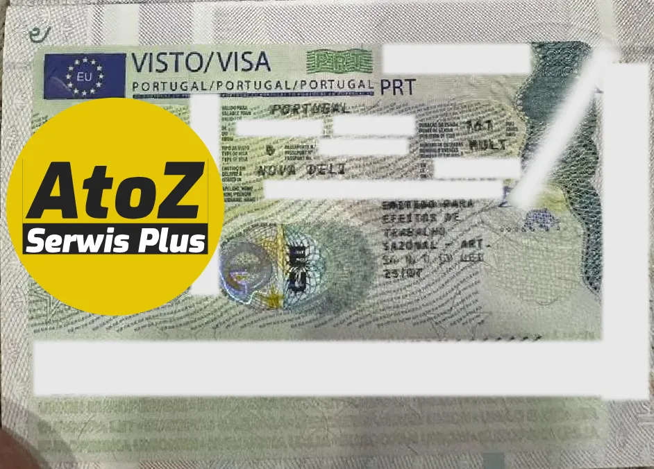 Portugal Job Seeker Visa Success