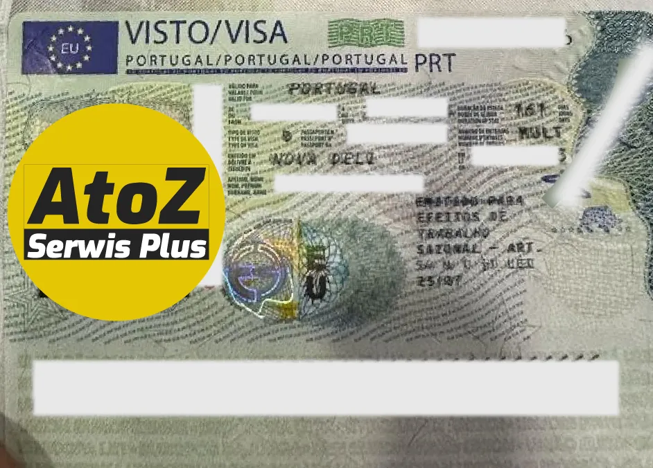 Portugal Job Seeker Visa Success