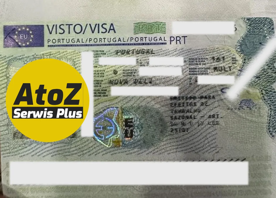 Portugal Job Seeker Visa Success