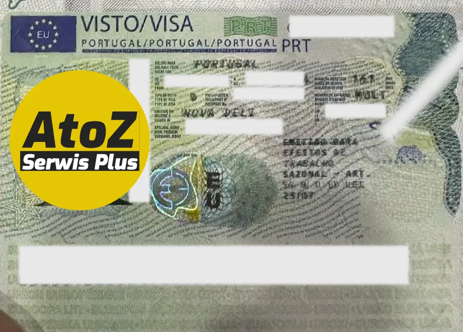 Portugal Job Seeker Visa Success