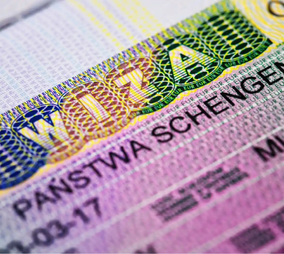Secure Your Netherlands Work Visa Quickly and Easily