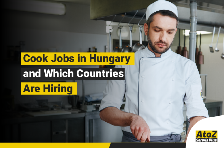 Cook preparing food in a professional kitchen in Hungary