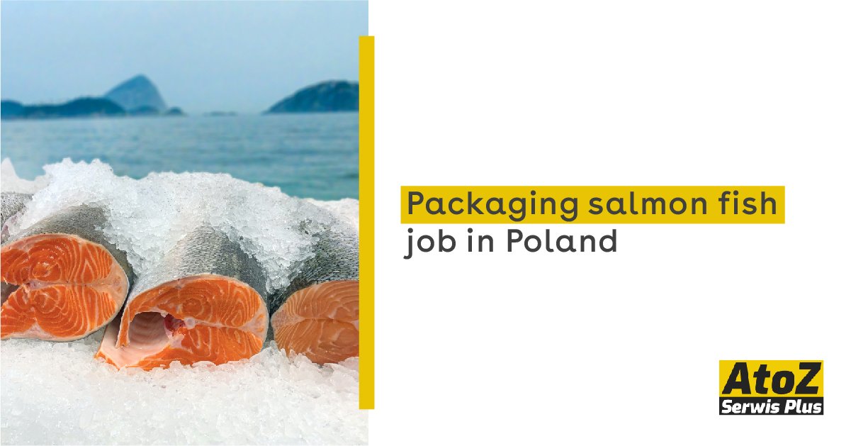 packaging-salmon-fish-job-in-poland packaging-salmon-fish-job-in-poland