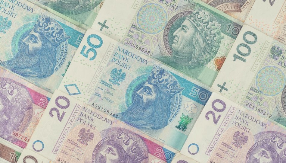 2020-hays-salary-guide-for-poland-salaries-in-salesprocurement-and-logistics 2020-hays-salary-guide-for-poland-salaries-in-salesprocurement-and-logistics