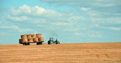 finnish-government-to-open-seasonal-work-visa-applications-for-belarusian-citizens