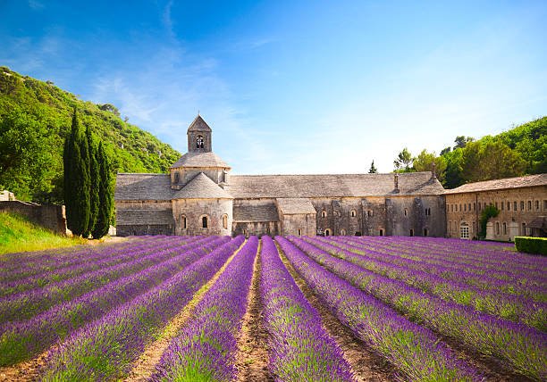france-temporarily-bans-all-flights-to-and-from-brazil-due-to-covid-19-variant-spread