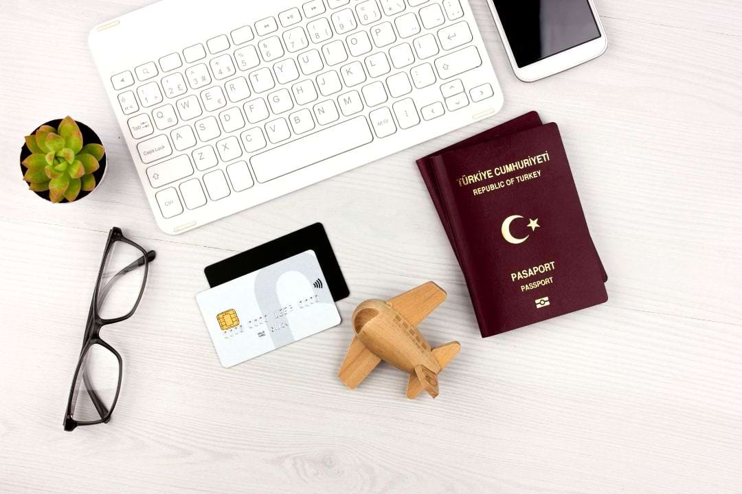 indians-turks-and-serbs-were-issued-highest-number-of-national-work-visas-by-germany-in-2022 indians-turks-and-serbs-were-issued-highest-number-of-national-work-visas-by-germany-in-2022