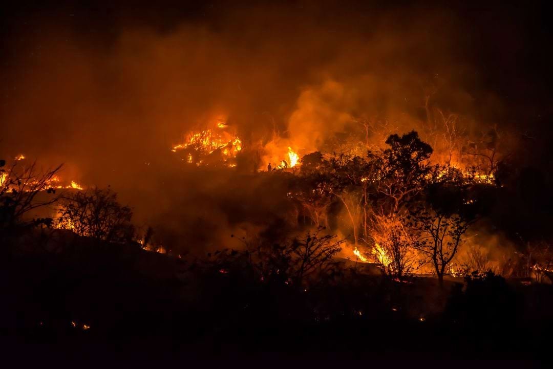 italy-palermo-airport-shut-down-while-7-deaths-recorded-due-to-wildfires-and-storms