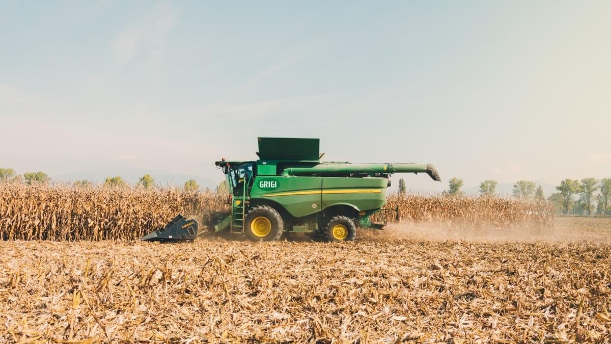 italys-puglia-farms-say-they-need-another-100000-seasonal-workers-from-third-countries italys-puglia-farms-say-they-need-another-100000-seasonal-workers-from-third-countries