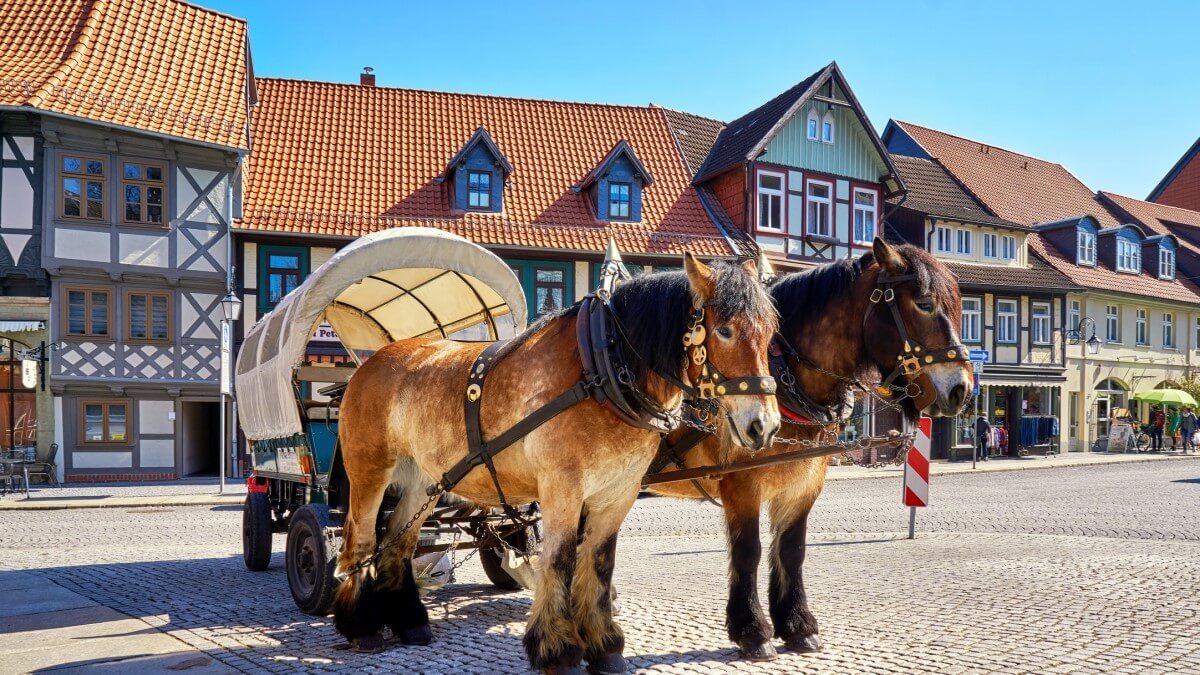 more-than-6-million-tourists-expected-to-attend-oktoberfest-2022-in-germany