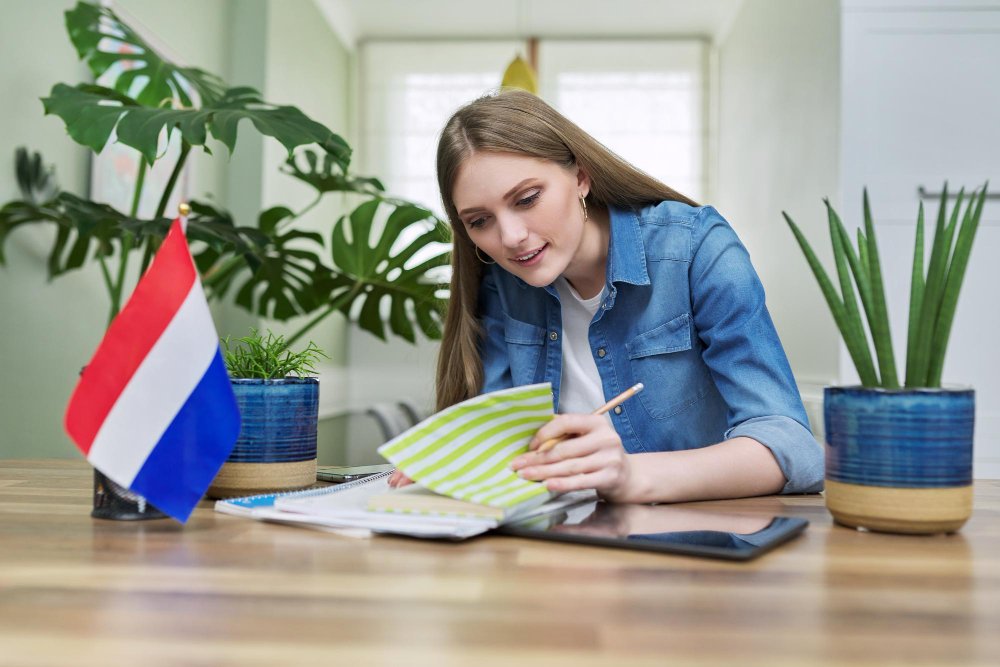 netherlands-sees-increase-in-undocumented-employment-among-non-eu-workers.jpg