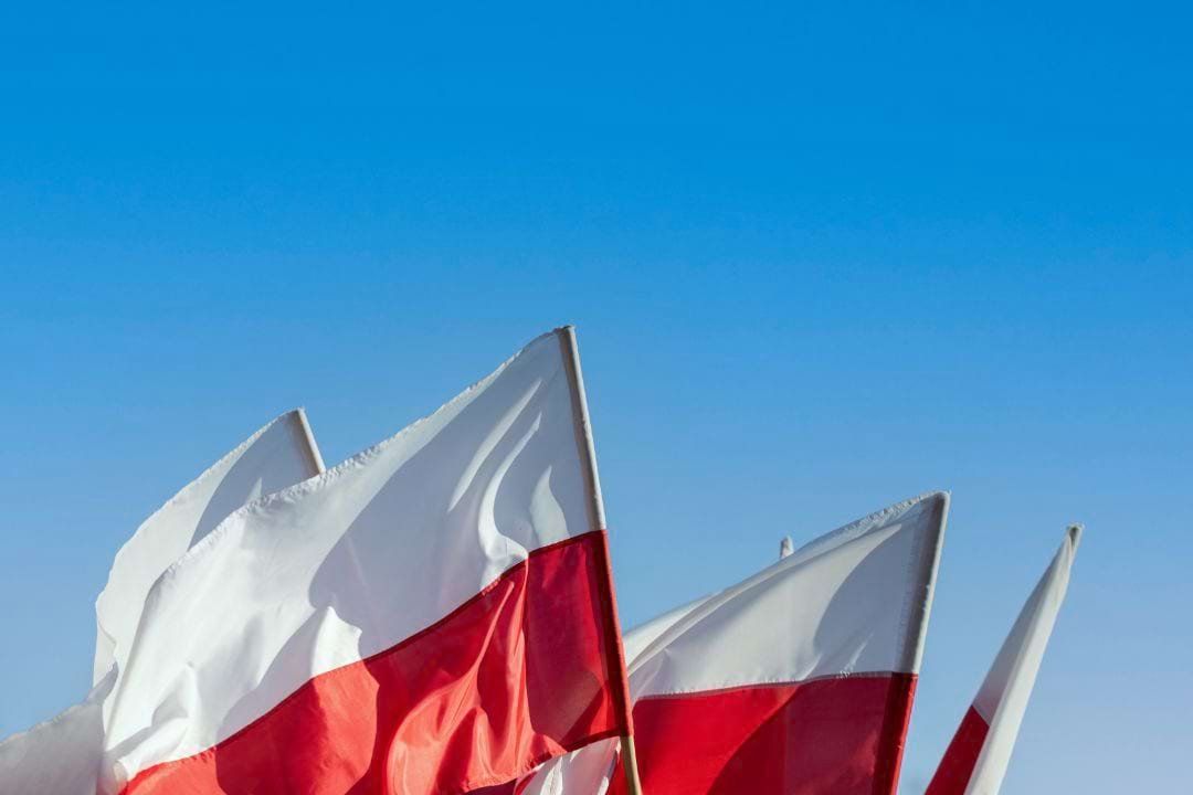 poland-dismantles-criminal-group-that-issued-10000-fake-work-visas-mainly-to-ukrainians.jpg