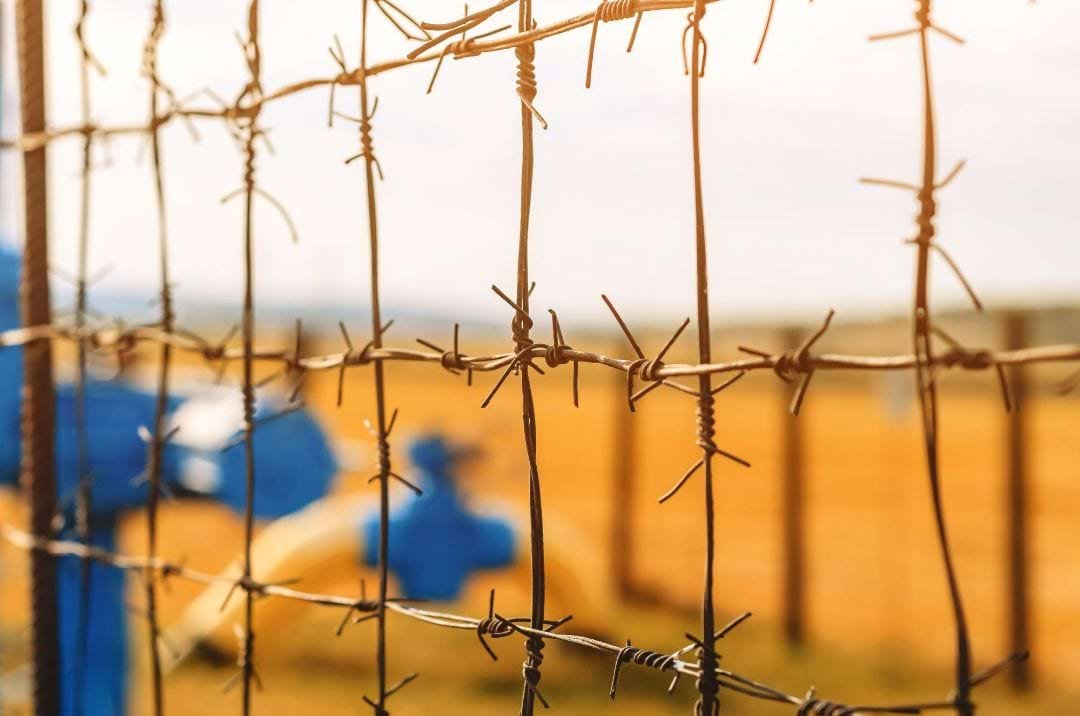 portugal-extends-temporary-protection-for-displaced-people-from-ukraine-until-september
