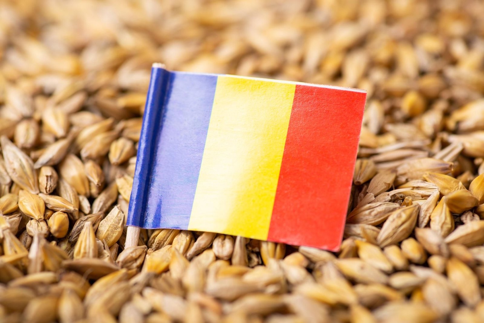 romania-planning-to-block-austria-from-taking-over-osce-chairmanship-in-schengen-veto-revenge romania-planning-to-block-austria-from-taking-over-osce-chairmanship-in-schengen-veto-revenge