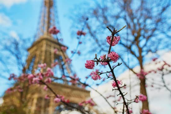 france-s-mandatory-quarantine-for-those-coming-from-abroad-explained.jpg france-s-mandatory-quarantine-for-those-coming-from-abroad-explained.jpg